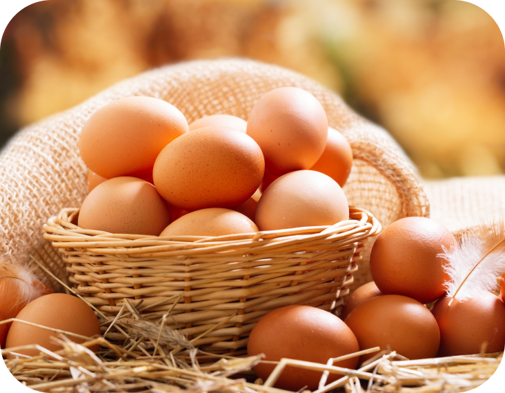 Description of image