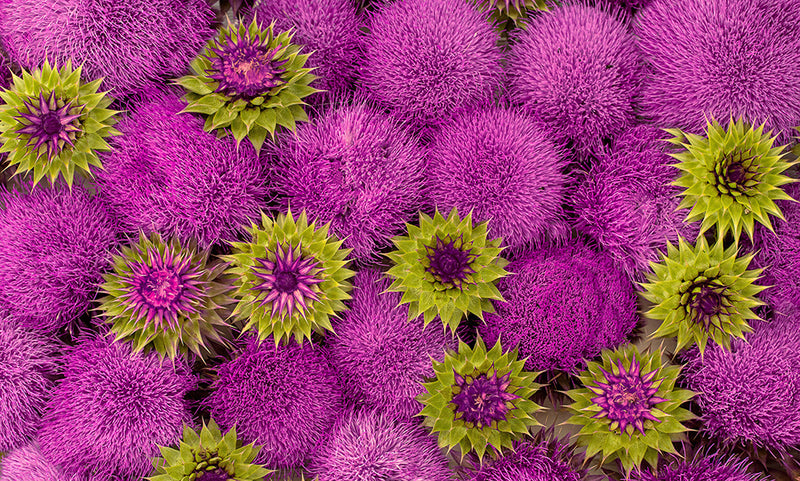 Description of image