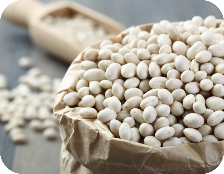 Description of image