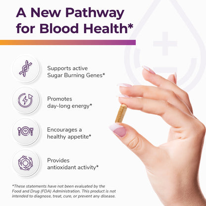 A hand holding one capsule with a header reading 'A New Pathway for Blood Health,' listing health benefits of Glucobalance. 