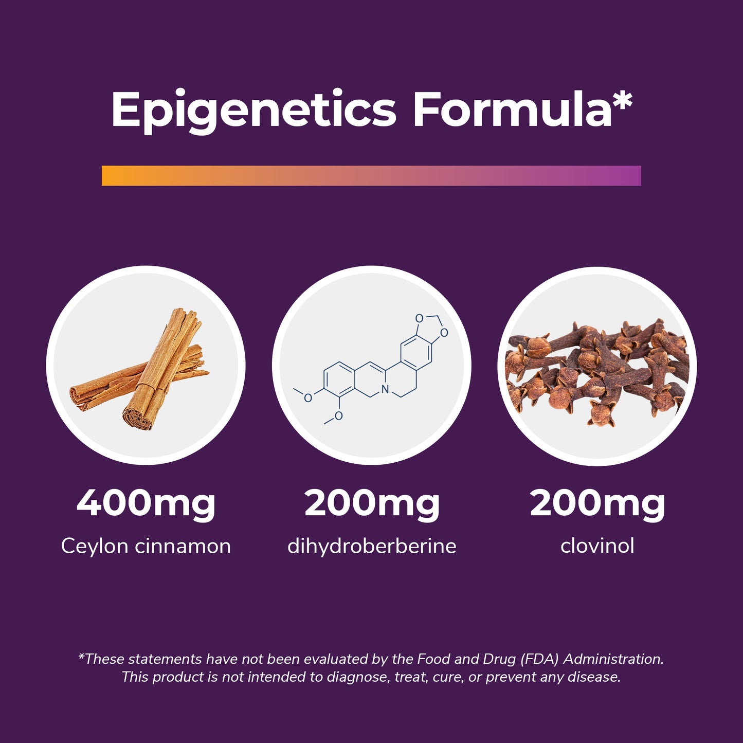 The Epigenetic Formula featuring 400mg Ceylon cinnamon, 200mg dihydroberberine, and 200mg clovinol.