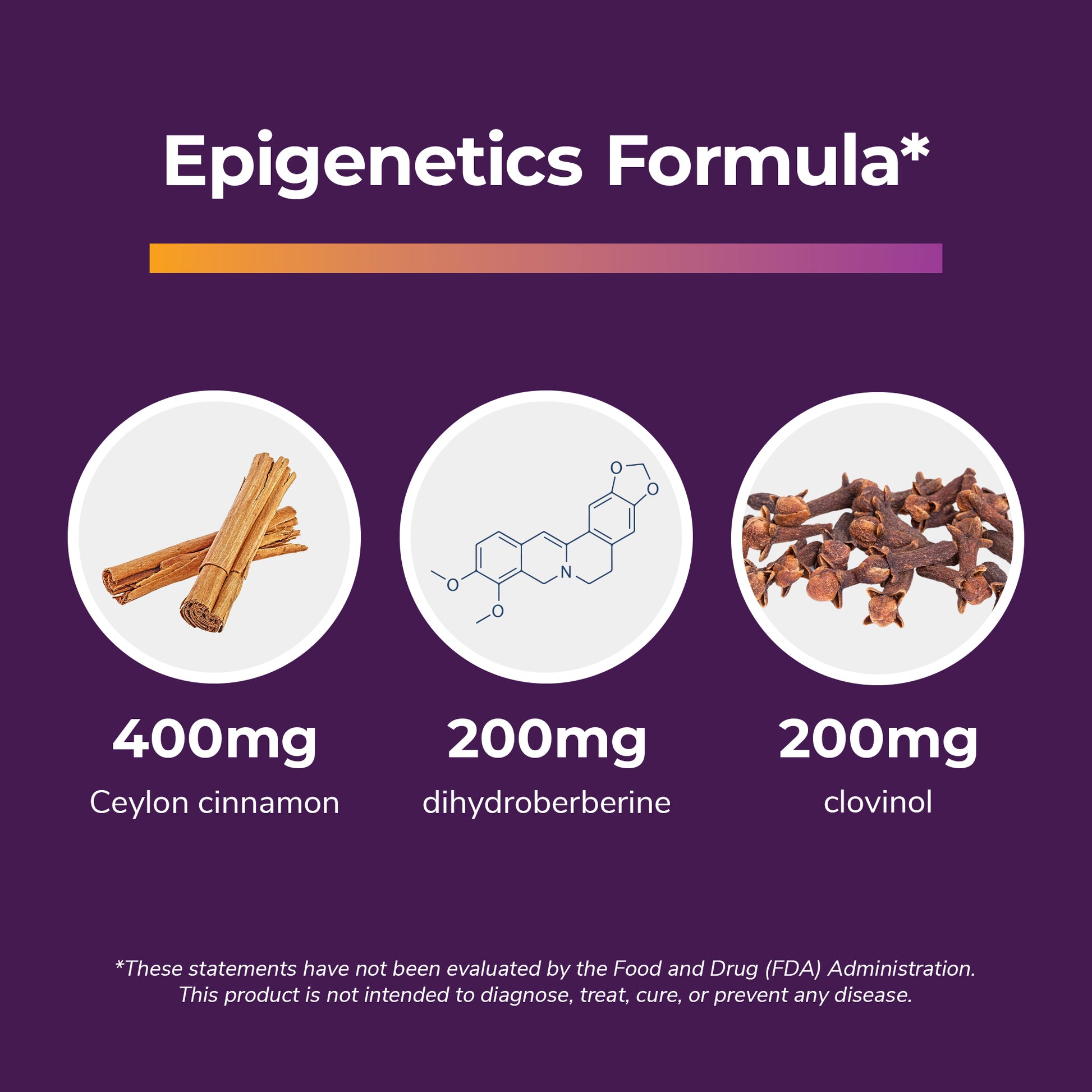The Epigenetic Formula featuring 400mg Ceylon cinnamon, 200mg dihydroberberine, and 200mg clovinol.
