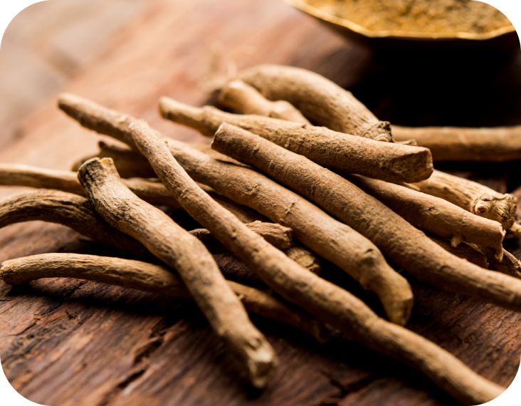 Description of image