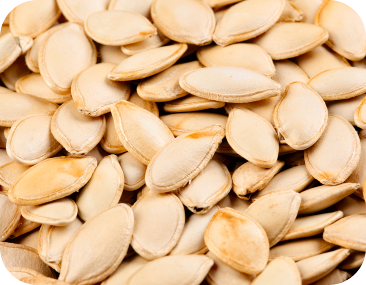 Description of image