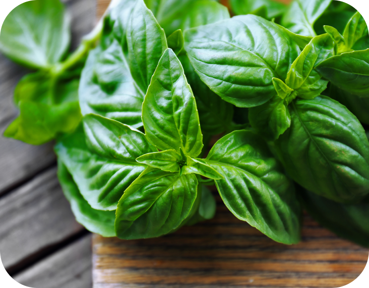 Description of image