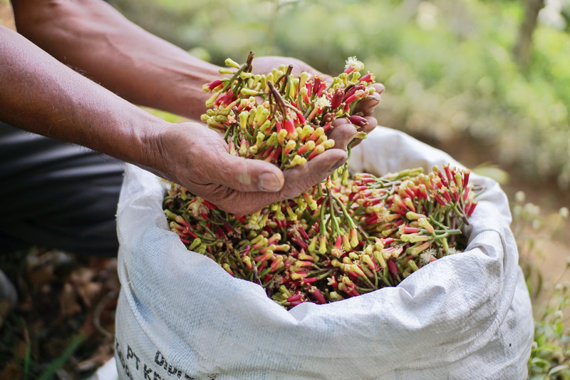 Description of image